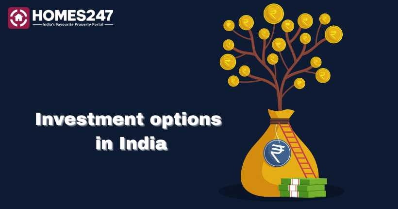  best investment options